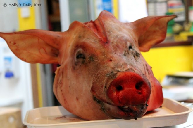 A pigs head for ugly truths
